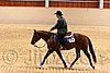 QH062_0765n.jpg