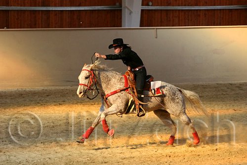 QH062_2669n.jpg