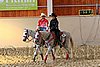 QH062_2641n.jpg