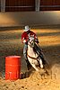 QH062_2651n.jpg