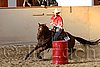 QH062_2671n.jpg