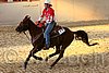 QH062_2679n.jpg