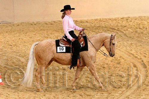 QH062_1729n.jpg