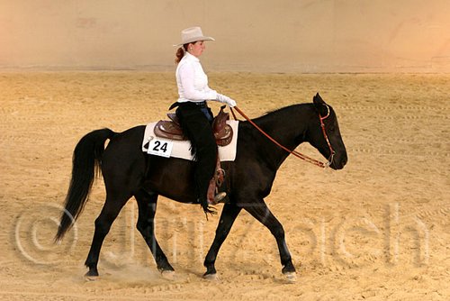 QH062_1754n.jpg