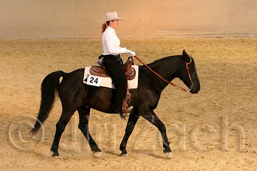 QH062_1755n.jpg