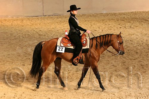 QH062_1779n.jpg