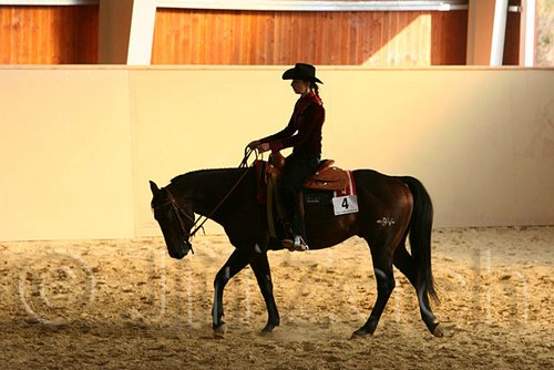 QH062_1810n.jpg