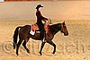 QH062_1737n.jpg