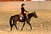 QH062_1739n.jpg