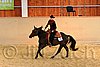 QH062_1740n.jpg