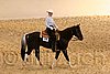 QH062_1745n.jpg
