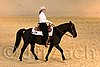 QH062_1754n.jpg