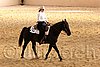 QH062_1757n.jpg