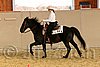 QH062_1760n.jpg