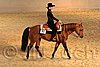 QH062_1778n.jpg