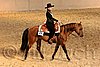 QH062_1779n.jpg