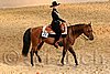 QH062_1780n.jpg