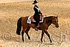 QH062_1781n.jpg