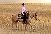 QH062_1791n.jpg