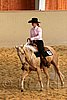 QH062_1792n.jpg
