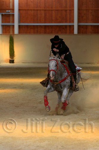 QH062_2703n.jpg