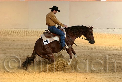 QH062_1874n.jpg