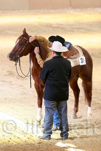 QH062_1878n.jpg