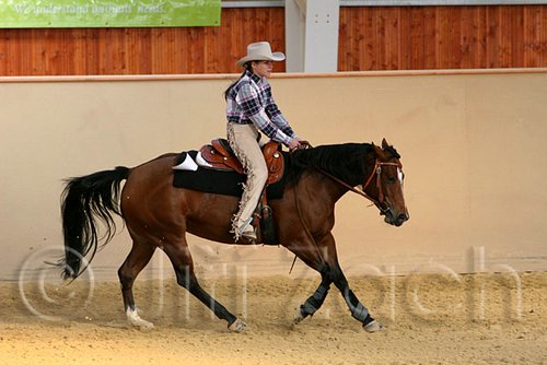 QH062_1903n.jpg