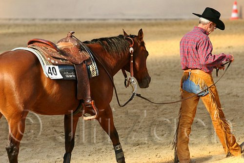 QH062_1951n.jpg