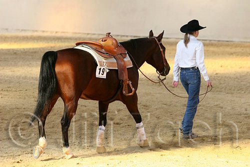 QH062_1972n.jpg