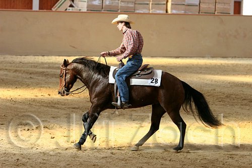 QH062_1975n.jpg