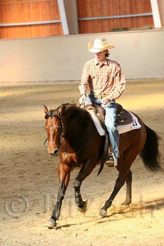 QH062_1982n.jpg