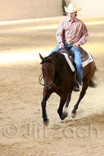 QH062_1983n.jpg