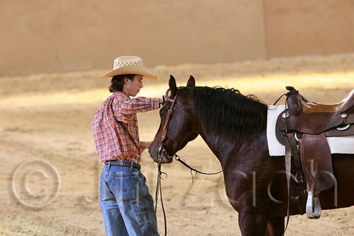 QH062_1991n.jpg