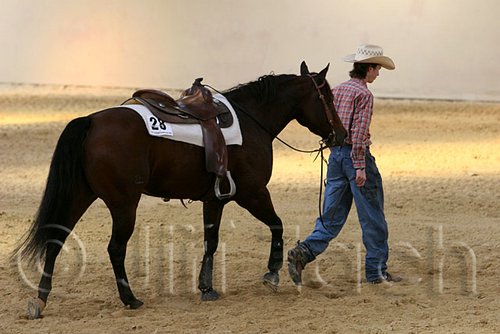QH062_1992n.jpg