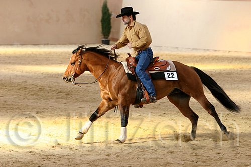 QH062_1993n.jpg
