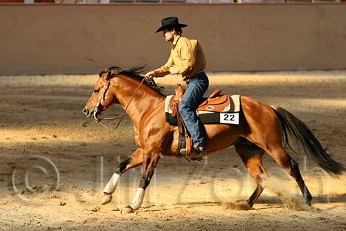 QH062_1994n.jpg