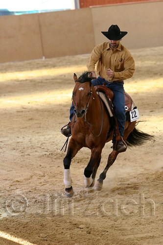 QH062_1996n.jpg