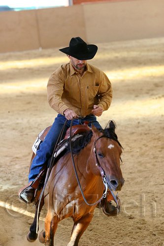 QH062_1998n.jpg