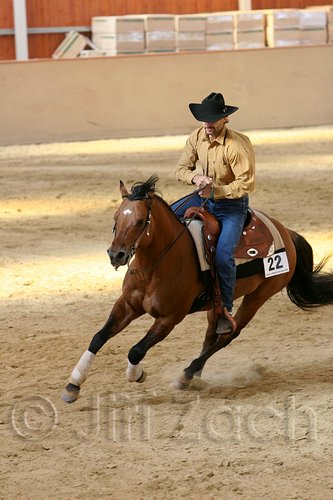 QH062_2001n.jpg