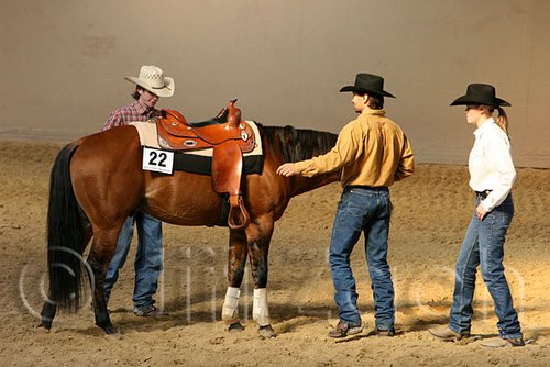 QH062_2016n.jpg