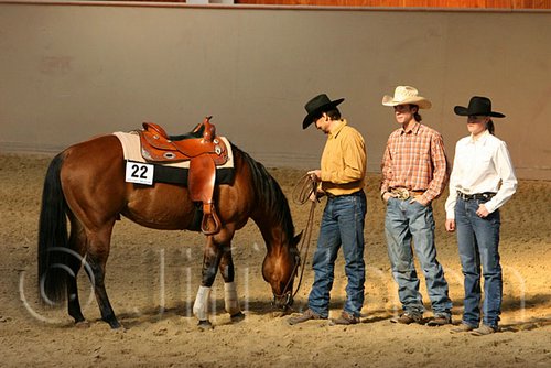 QH062_2017n.jpg