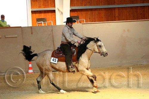 QH062_2166n.jpg