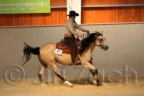 QH062_2169n.jpg