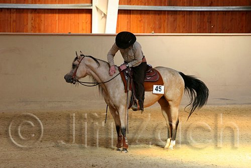 QH062_2179n.jpg