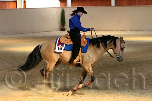 QH062_2229n.jpg