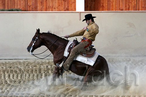 QH062_2268n.jpg