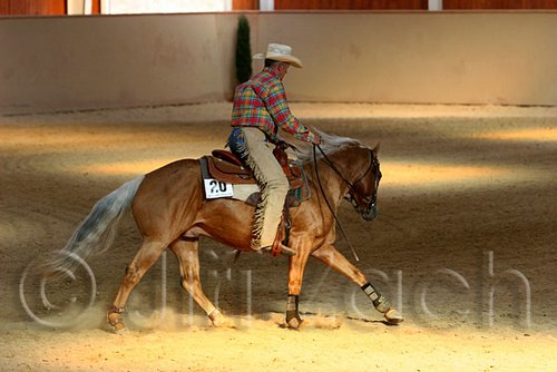 QH062_2273n.jpg