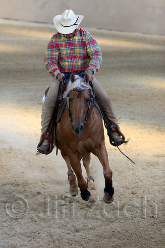 QH062_2283n.jpg