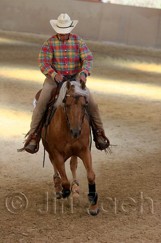QH062_2293n.jpg